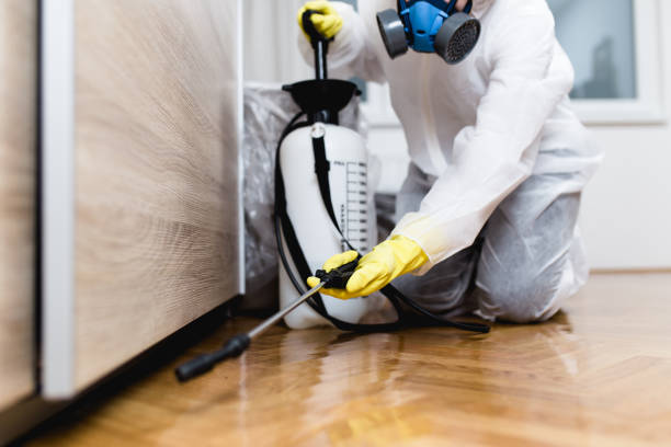 Best Local Pest Control Services  in Vla Grove, IL