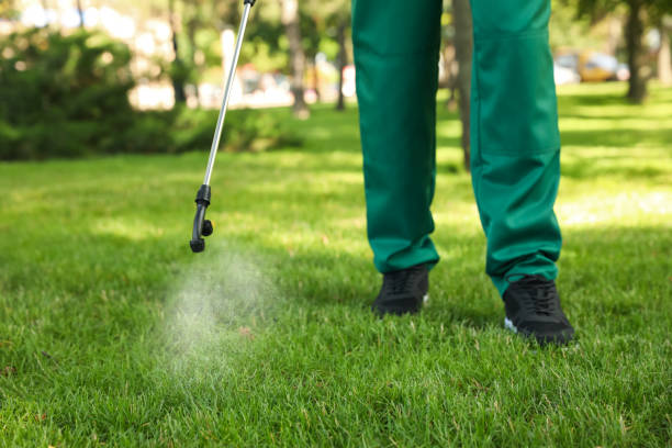 Best Flea Control Services  in Vla Grove, IL