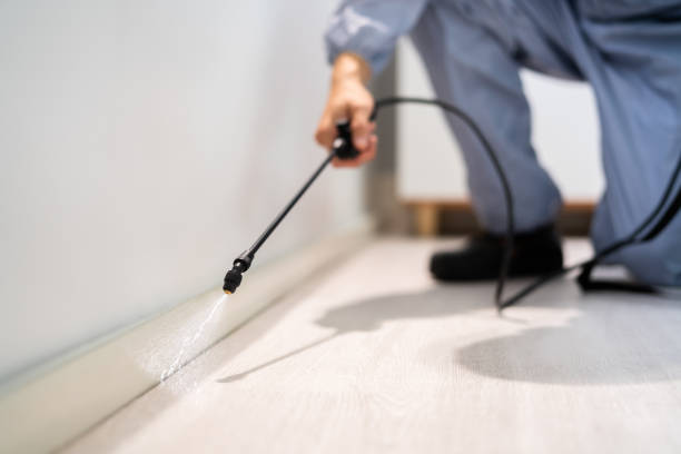 Pest Control Cost in Villa Grove, IL
