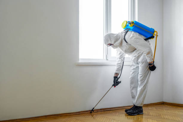 Best Pest Removal Services  in Vla Grove, IL