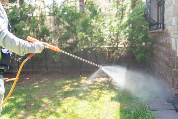 Best Affordable Pest Control Services  in Vla Grove, IL