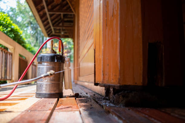 Best Pest Control for Businesses  in Vla Grove, IL