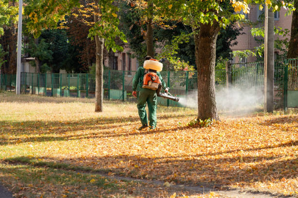 Best Cockroach Control Services  in Vla Grove, IL