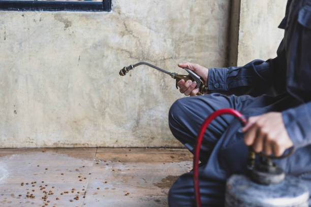 Best Commercial Pest Control Services  in Vla Grove, IL