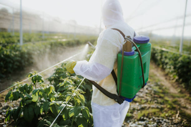 Best Pest Control Cost  in Vla Grove, IL